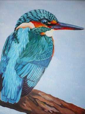 Peinture d'un martin pécheur sur une branche.