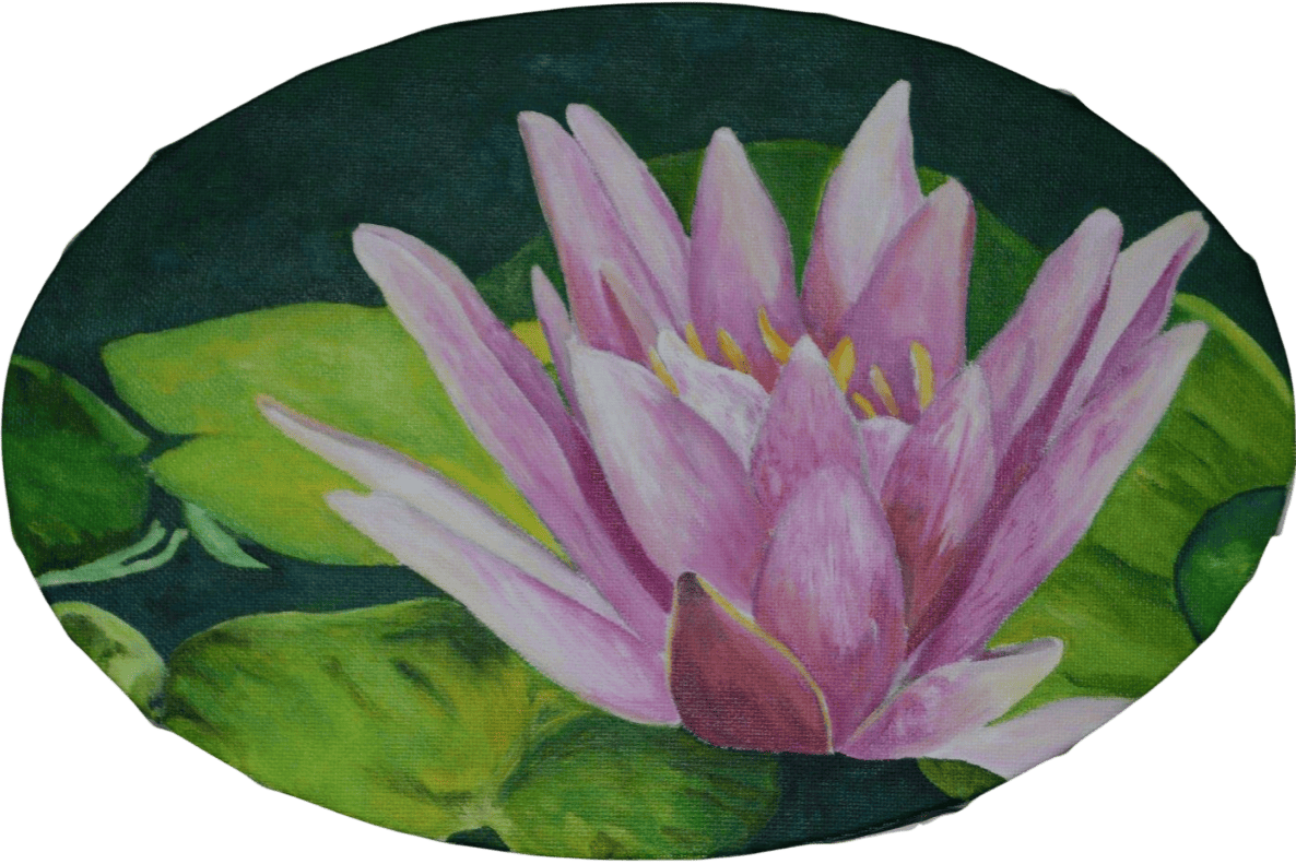 Peinture d'un nenuphar en fleur.